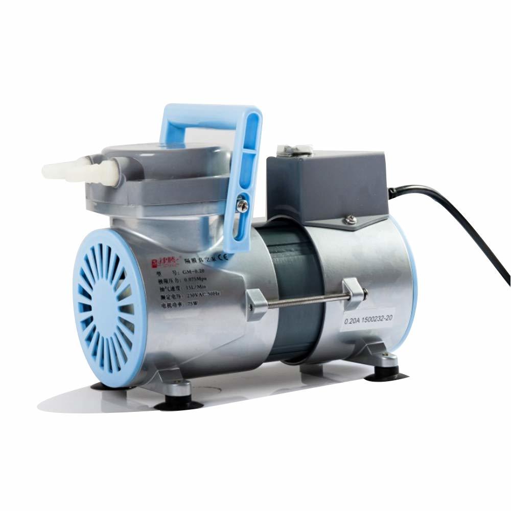GM-0.20 Vakum Pompası