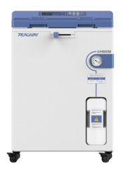 Zealway GR-85SA Dik Tip Otoklav 85 Litre