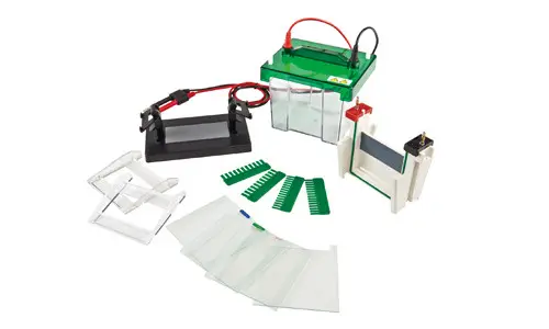 Junyi JY-SCZ2+ Dikey Elektroforez Tankı
