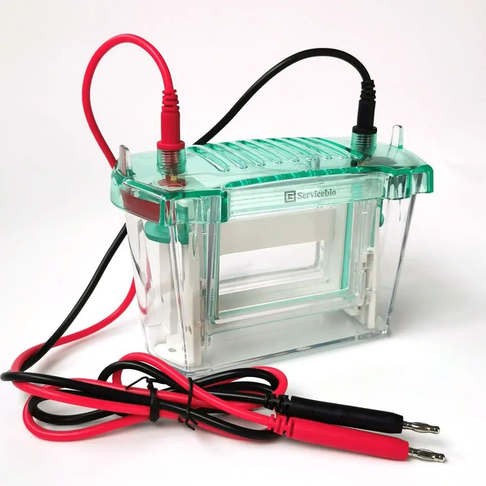 Servisbio SVE-2  Dikey Elektroforez Sistemi