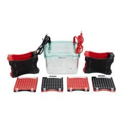 Servisbio SVT-2 Transfer Elektroforez Sistemi