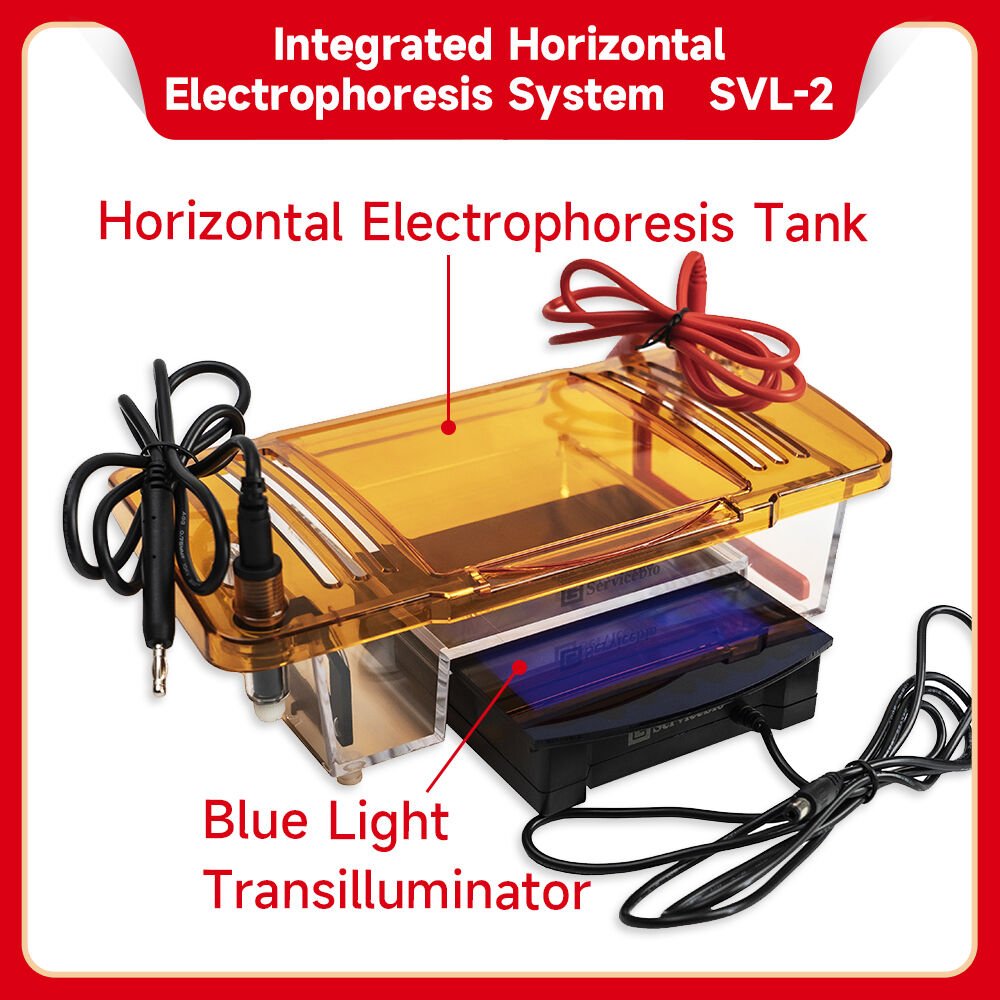 Servisbio SVL-2 Yatay Elektroforez Tankı Kendinden Transillüminatörlü