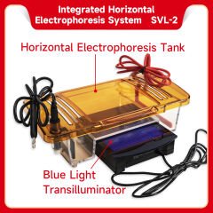 Servisbio SVL-2 Yatay Elektroforez Tankı Kendinden Transillüminatörlü