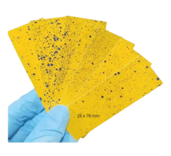 Suya Duyarlı Kağıt